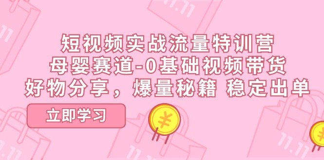 （11373期）短视频实战流量特训营，母婴赛道-0基础带货，好物分享，爆量秘籍 稳定出单-中创网_分享创业项目_助您在家赚钱