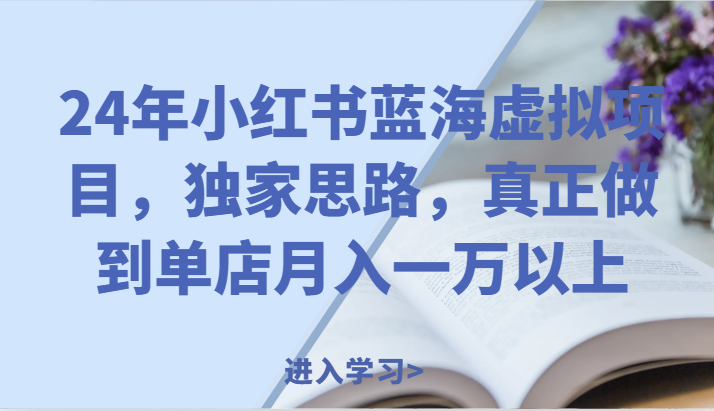 24年小红书的瀚海虚拟资源项目，独家代理构思，充分体现门店月入一万之上。-中创网_分享创业项目_助您在家赚钱