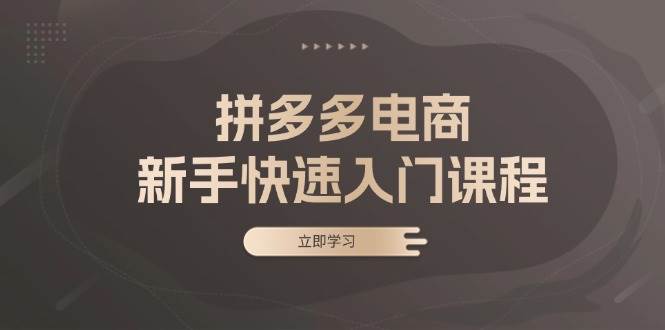 拼多多电商新手快速入门课程：涵盖基础、实战与选款，助力小白轻松上手-中创网_分享创业项目_助您在家赚钱