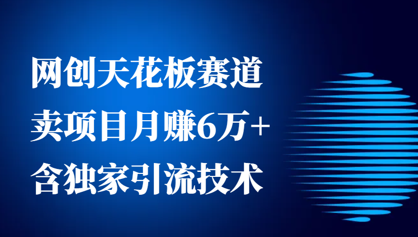 网创天花板赛道，卖项目月赚6万+，含独家引流技术（共26节课）-中创网_分享创业项目_助您在家赚钱