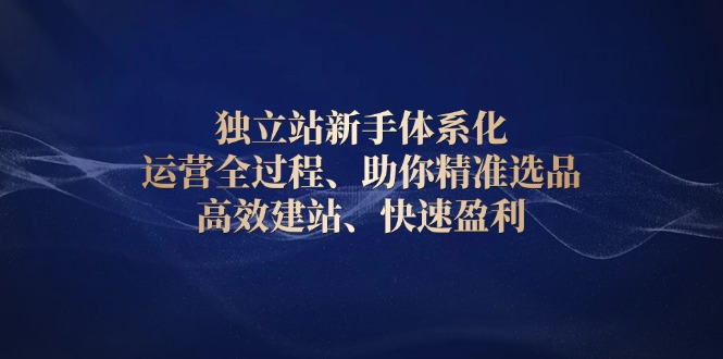 （13914期）独立站新手体系化 运营全过程，助你精准选品、高效建站、快速盈利-中创网_分享创业项目_助您在家赚钱