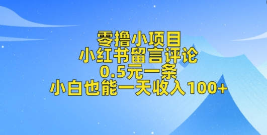 零撸小项目，小红书留言评论，0.5元一条，小白也能一天收入100+-中创网_分享创业项目_助您在家赚钱