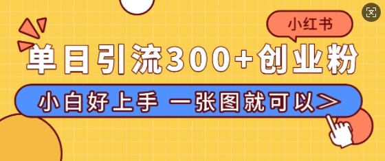 小红书单日引流300+创业粉，“简单粗暴”引流法，小白好上手，私信回不完-中创网_分享创业项目_助您在家赚钱