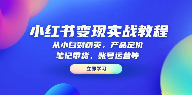 小红书变现实战教程：从小白到精英，产品定价，笔记带货，账号运营等-中创网_分享创业项目_助您在家赚钱