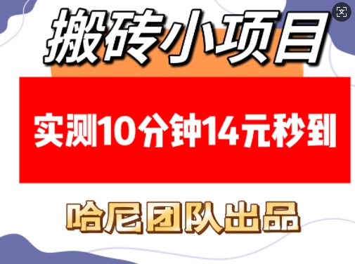 搬砖小项目，实测10分钟14元秒到，每天稳定几张(赠送必看稳定)-中创网_分享创业项目_助您在家赚钱