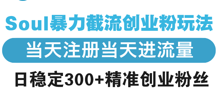 （13935期）Soul暴力截流创业粉玩法，当天注册当天进流量，日稳定300+精准创业粉丝-中创网_分享创业项目_助您在家赚钱